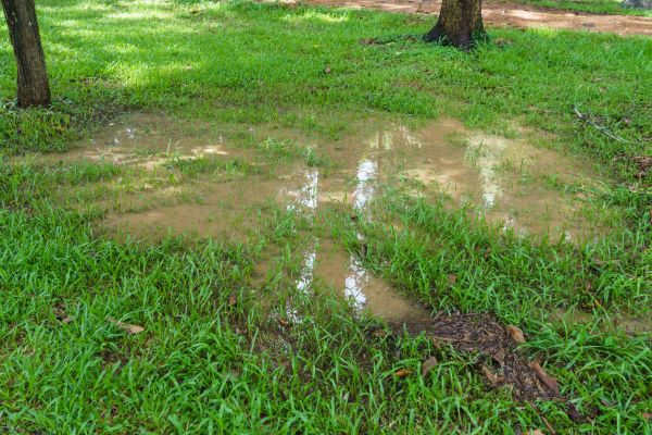 Cost of Storm Water Drainage Service in Woodinville