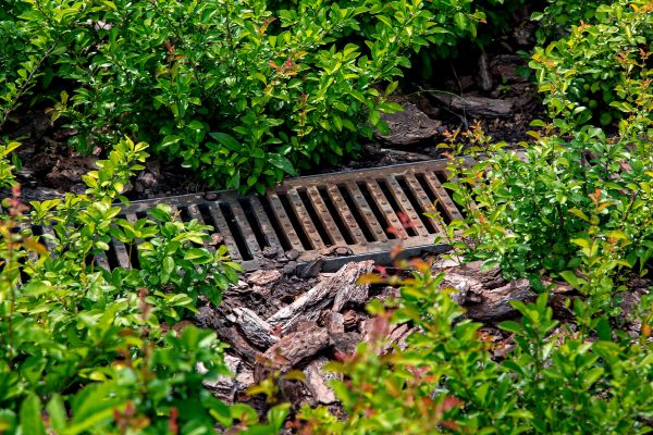 Cost of Underground Drainage Service in Woodinville