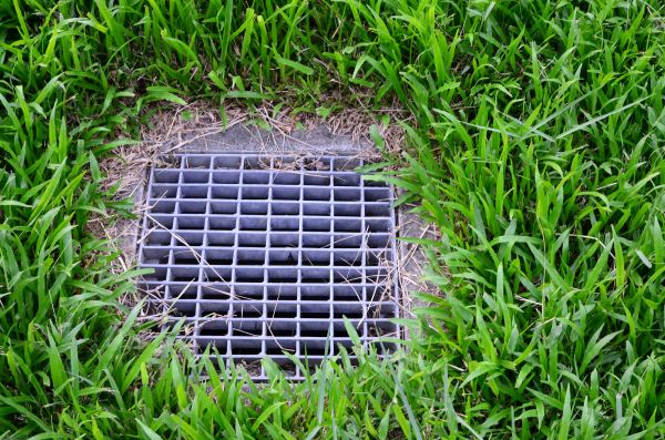 Yard Water Drainage in Woodinville