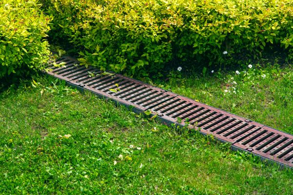 Lawn Drainage in Woodinville