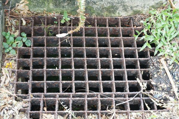 Yard Drain Cleaning in Woodinville