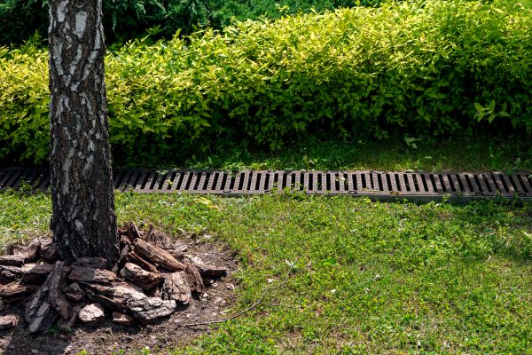 Cost of Wet Yard Drainage in Woodinville
