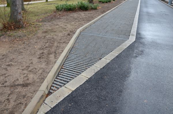 Cost of Muddy Yard Drainage in Woodinville