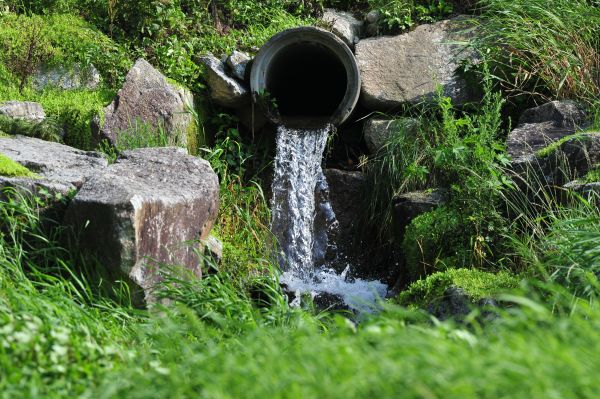 Water Redirection in Woodinville