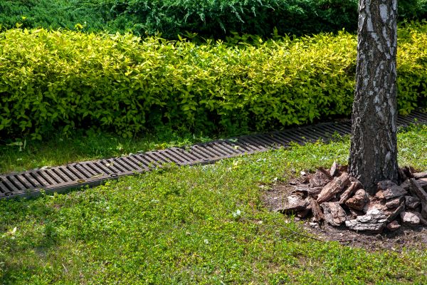 Cost of Residential Landscape Drainage in Woodinville
