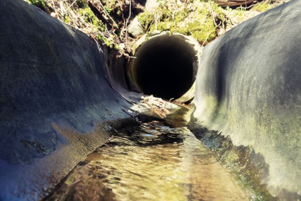 Cost of Drainage Swale Installation in Woodinville