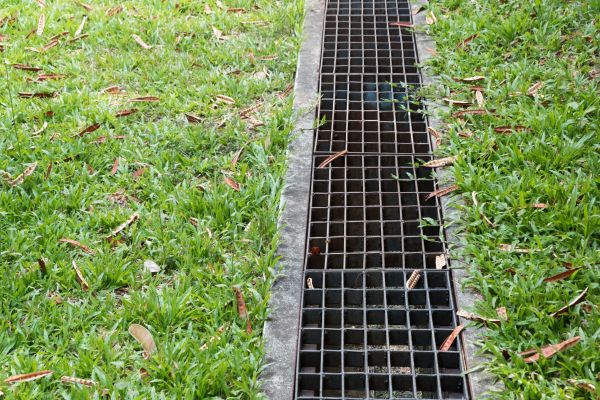 Cost of Exterior Drain Repair in Woodinville