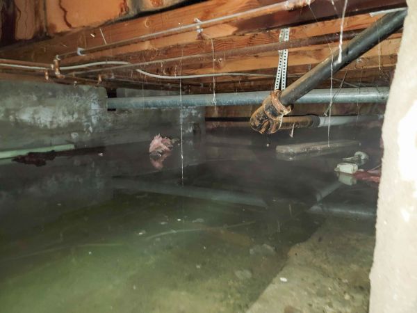 Crawlspace Drainage in Woodinville