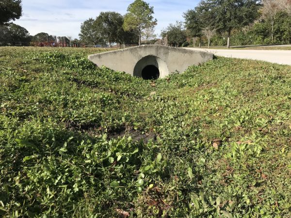 Swale Drainage Service in Woodinville
